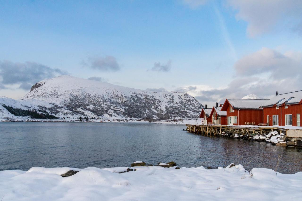 Brand New Nappstraumen Seaview Cabin Villa Gravdal  Exteriör bild